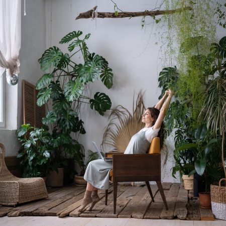Feng Shui: las plantas…¿cómo armonizan tu vida?